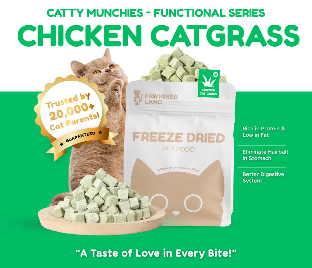 PawmisedLand Catty Munchies - Chicken Catgrass - Freeze Dried 125g