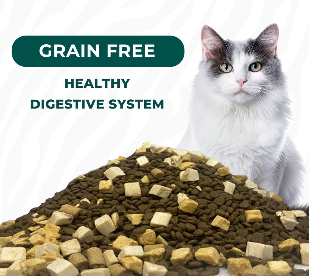 Bite of Wild 50g Cat Food Super Premium Holistic High Meat Grain-Free