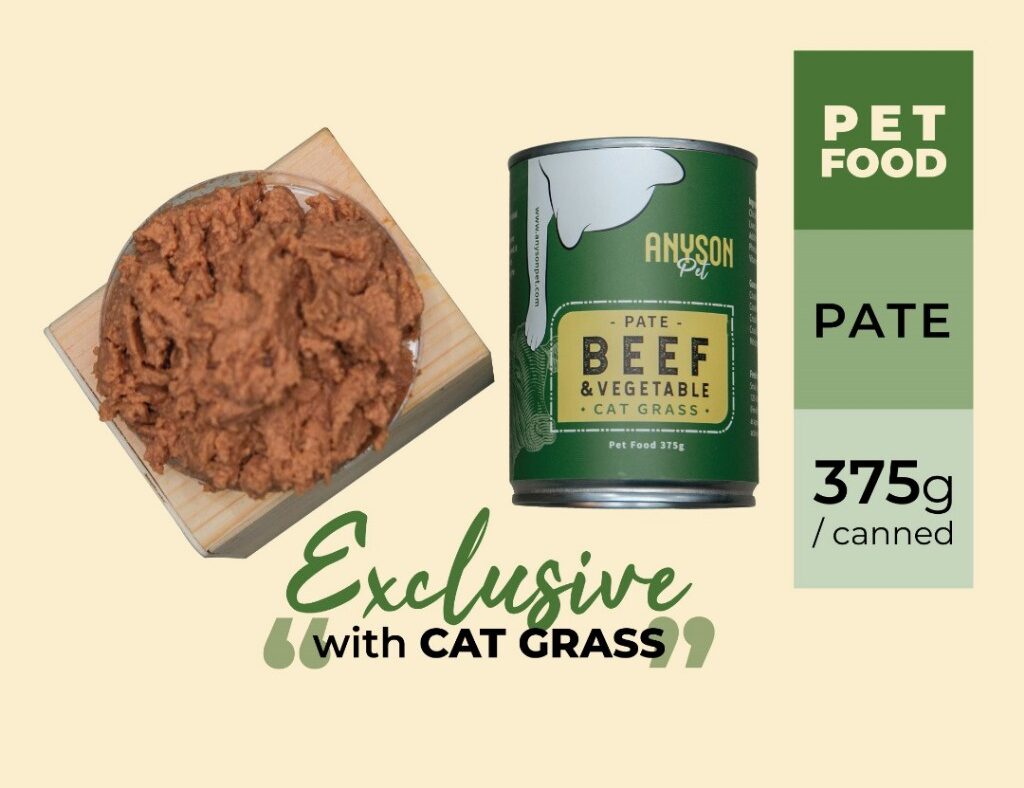 Anyson Pet Canned Wet Cat Food With Cat Grass 375g