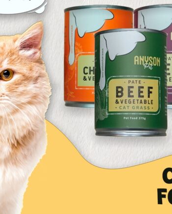 Anyson Pet Canned Wet Cat Food With Cat Grass 375g