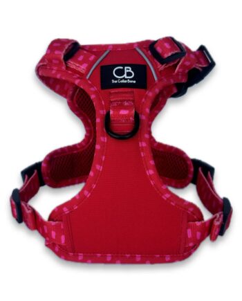 Active No-Pull Harness in Raspberry
