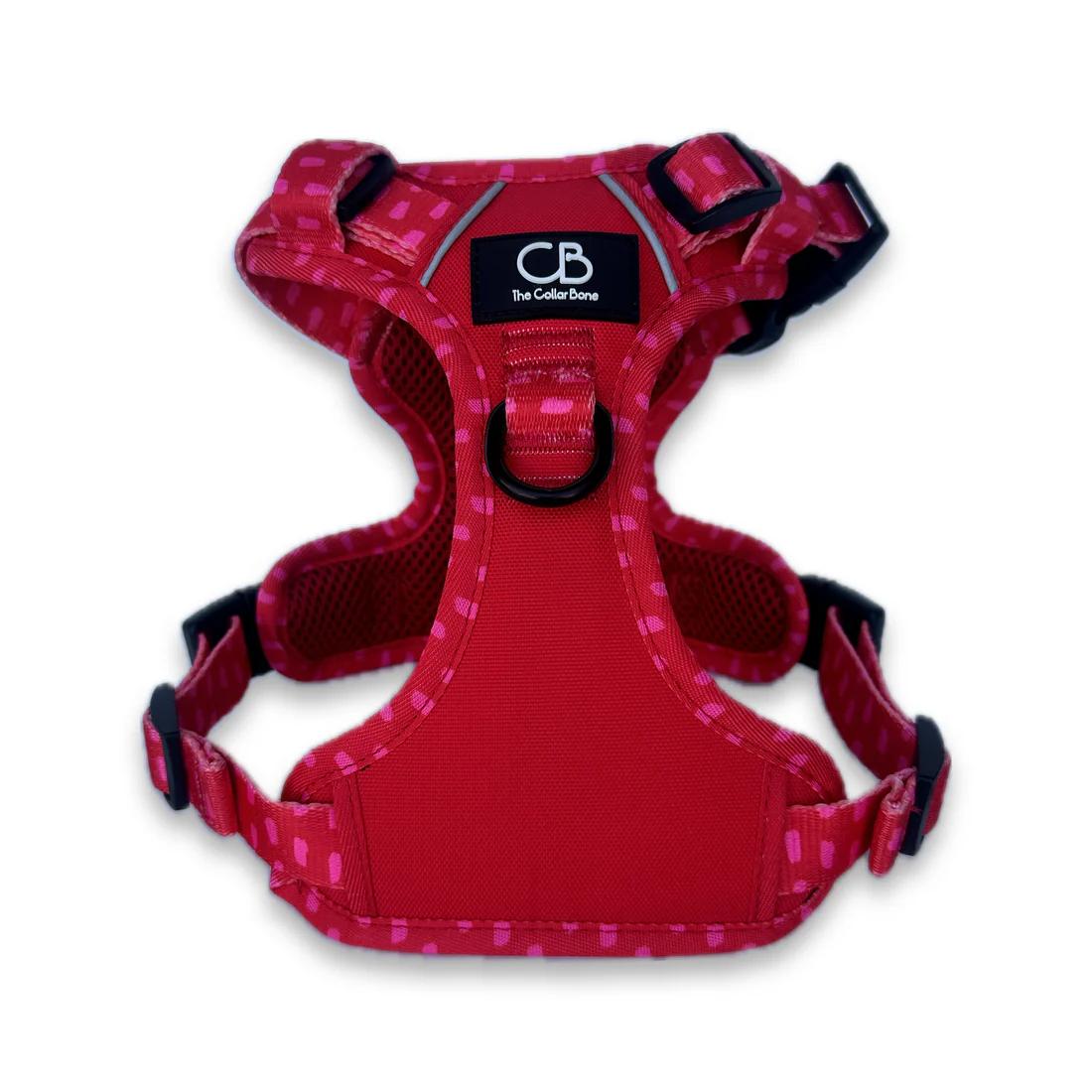 Active No-Pull Harness in Raspberry