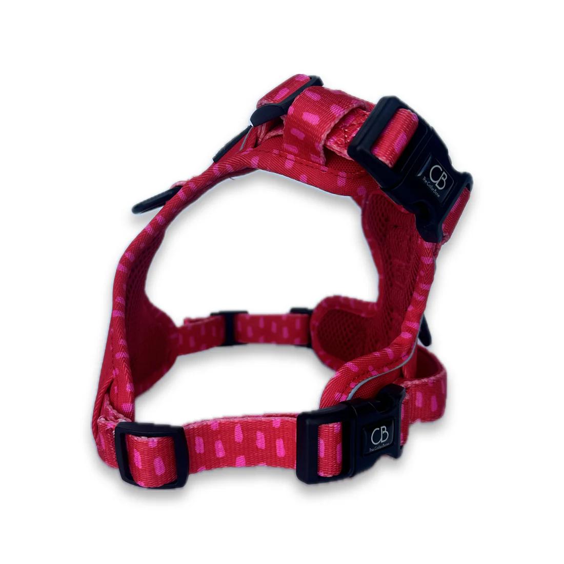 Active No-Pull Harness in Raspberry